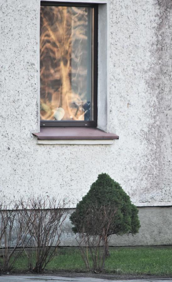 Guest House Gero Vejo Namai クライペダ エクステリア 写真